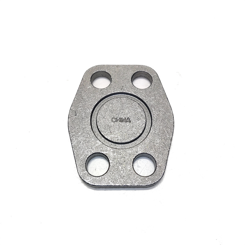 Forgings flange plate, plug
